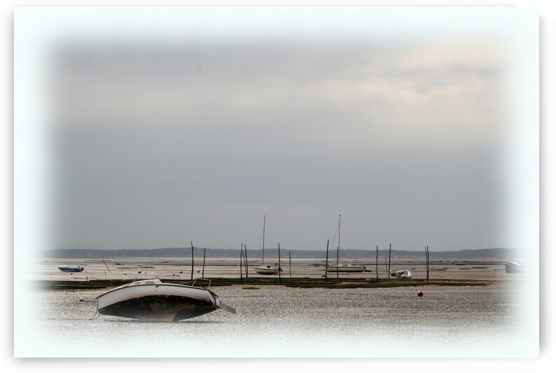 bassin d arcachon en avril bordure effet floute  ... arcachon basin in april blur effect border by Stef44
