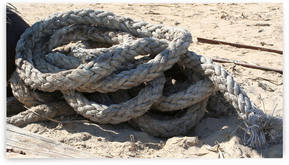 Aussiere .... bout by Stef44