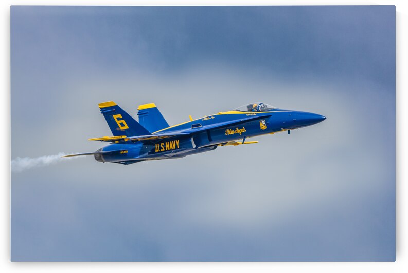 Solo Blue by Photography by Allen Jones