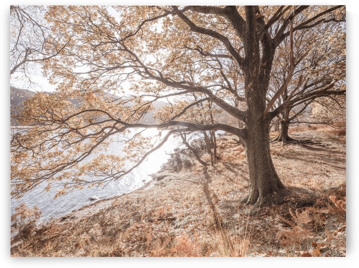 Derwentwater Lake by Assaf Frank