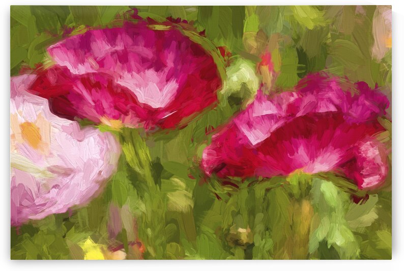 Red California Poppies X100 by Rich Franco