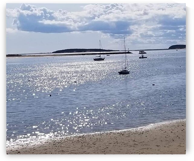 facebook 1684776894649 7066466468337924923 by Rochelle Marcus