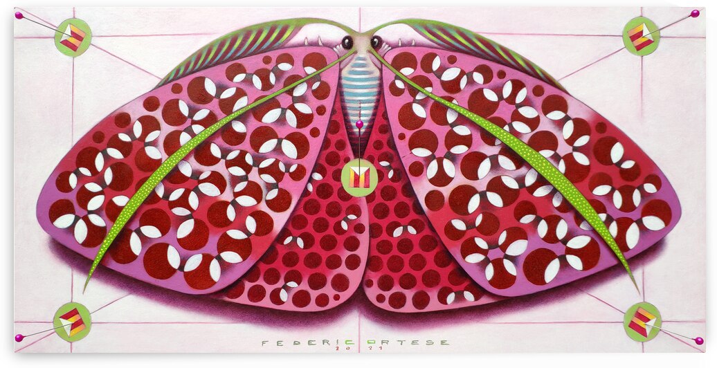 Chromatic butterfly - magenta by federicocortese