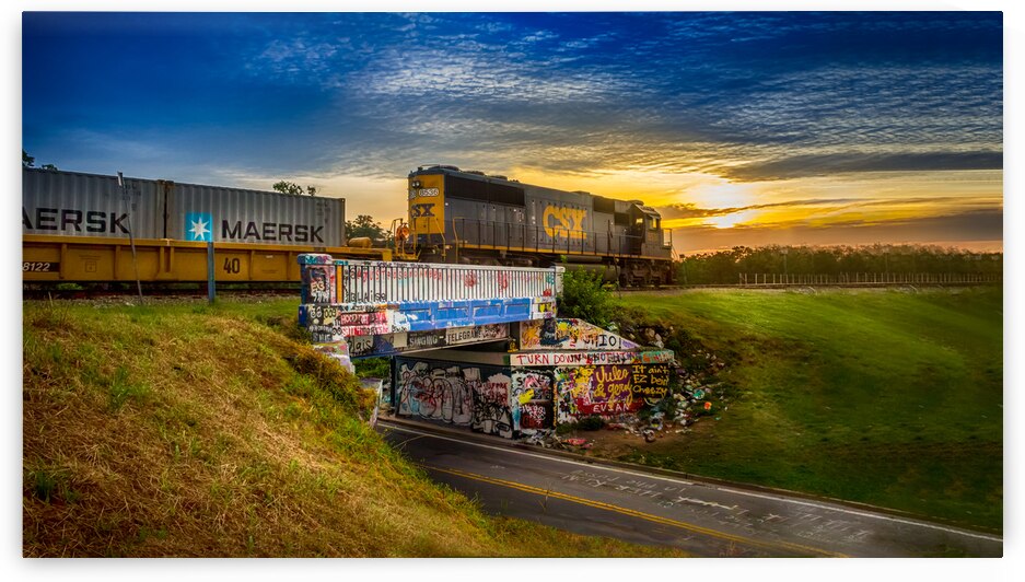 Graffiti Bridge by Photography by Allen Jones