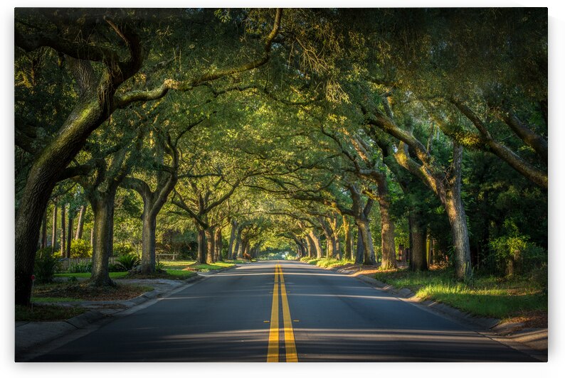  12th Avenue Welcome  by Photography by Allen Jones