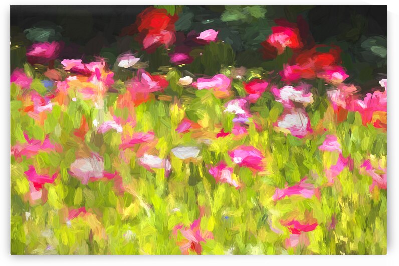 California Poppies Painted X100 by Rich Franco