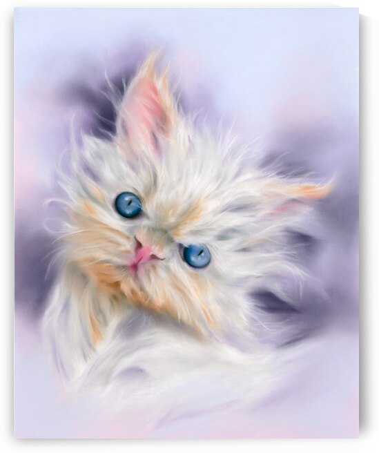 Persian Kitten with Blue Eyes by MM Anderson