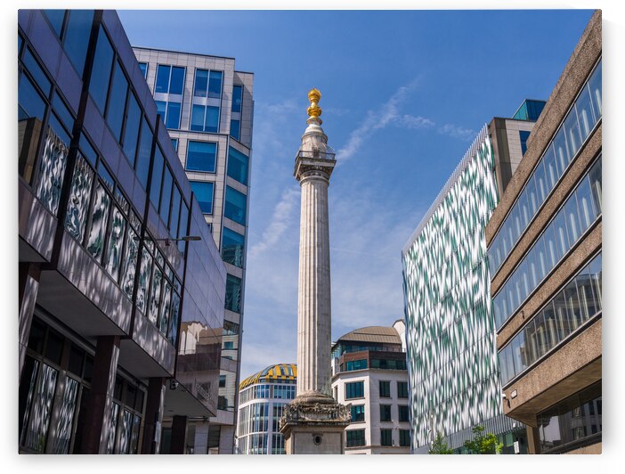 Modern office buildings surround the Monument in London by Steve Heap