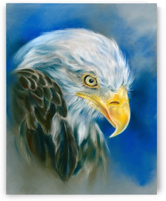 Bald Eagle on Blue by MM Anderson