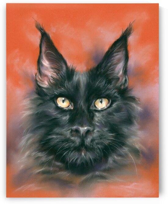 Black Maine Coon Cat on Rust by MM Anderson