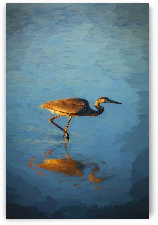 Great Blue Heron Hunting X100 by Rich Franco