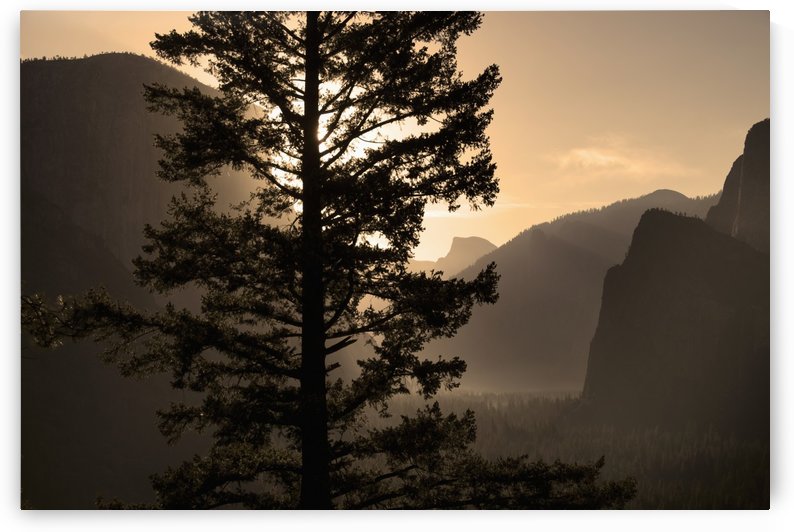 Sunrise over Half Dome at Tunnel View, Yosemite National Park; California, United States of America by PacificStock