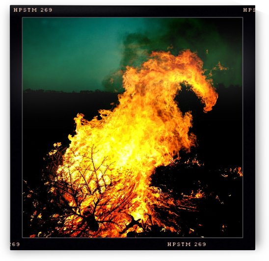 Firedragon by Ulf Bley