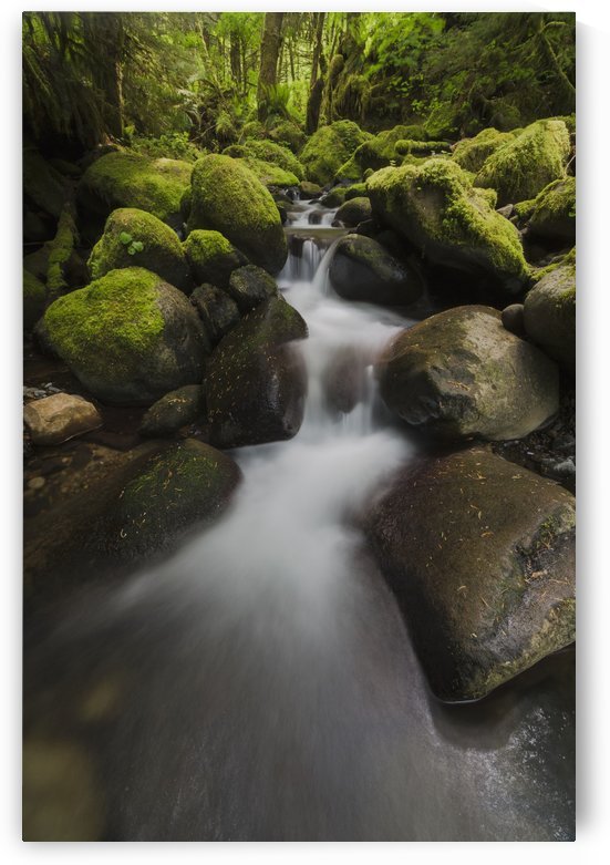 Ruckel Creek; Oregon, United States of America by PacificStock