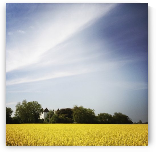 Scania sky by Ulf Bley