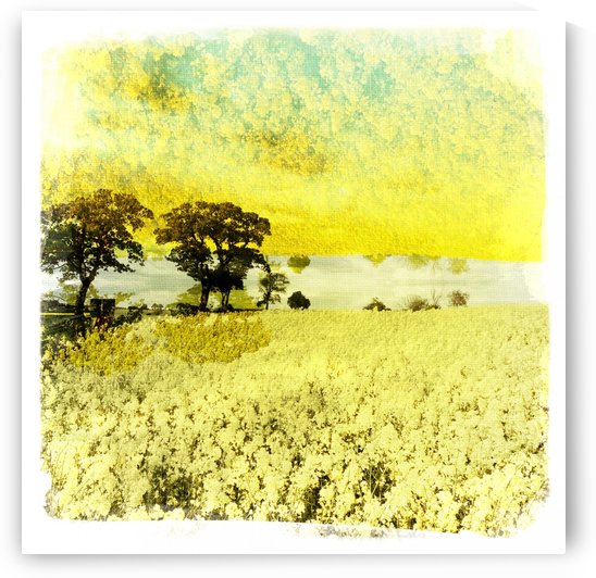 Mirrored field by Ulf Bley