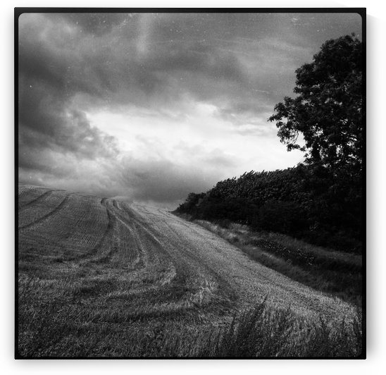 Harvest - and then by Ulf Bley