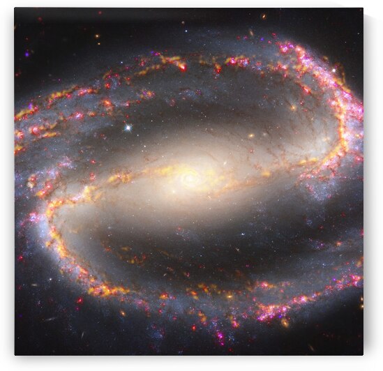 Multiwavelength View of NGC 1300 by NASA Images