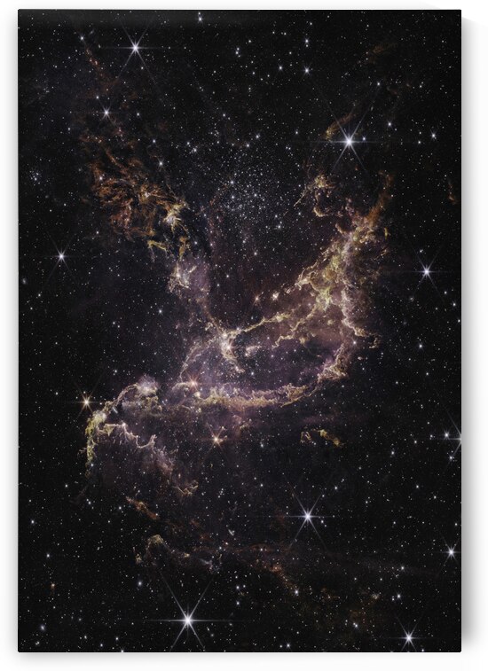 NGC 346 NIRCam Image by NASA Images