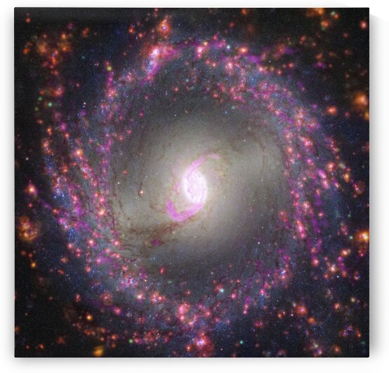 Multiwavelength View of NGC 3351 by NASA Images