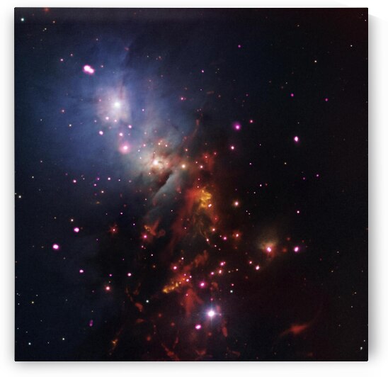 Stellar Cluster NGC 1333 by NASA Images