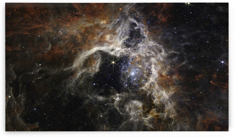 Tarantula Nebula NIRCam Image by NASA Images