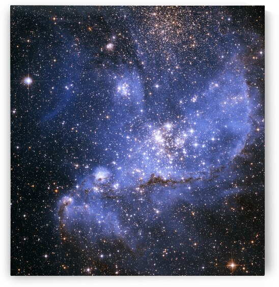 Infrared View of NGC 346 by NASA Images