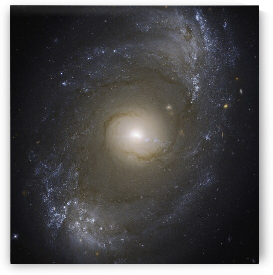 NGC 4151 by NASA Images