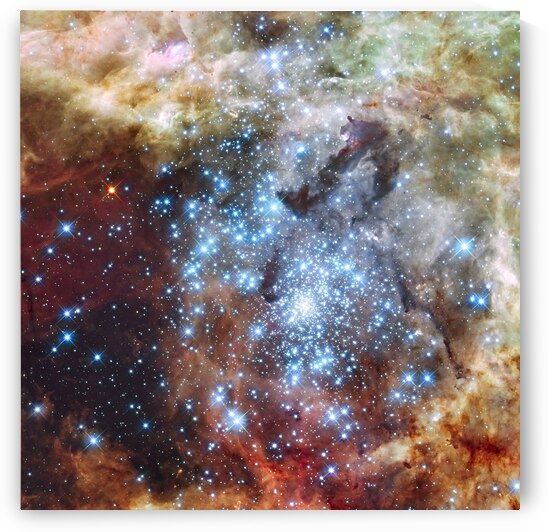 Massive Star Forming Region in 30 Doradus by NASA Images