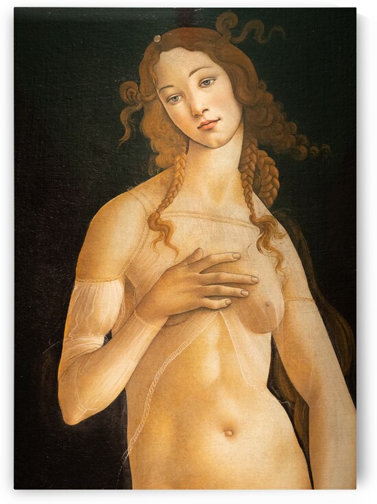 The painting of Venus by Sandro Botticelli oil on canvas 1490 by Paolo Modena