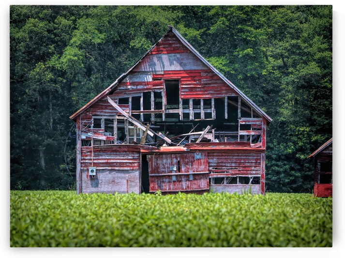 Barn Decaying Near Selbyville Delaware by Bill Swartwout Photography