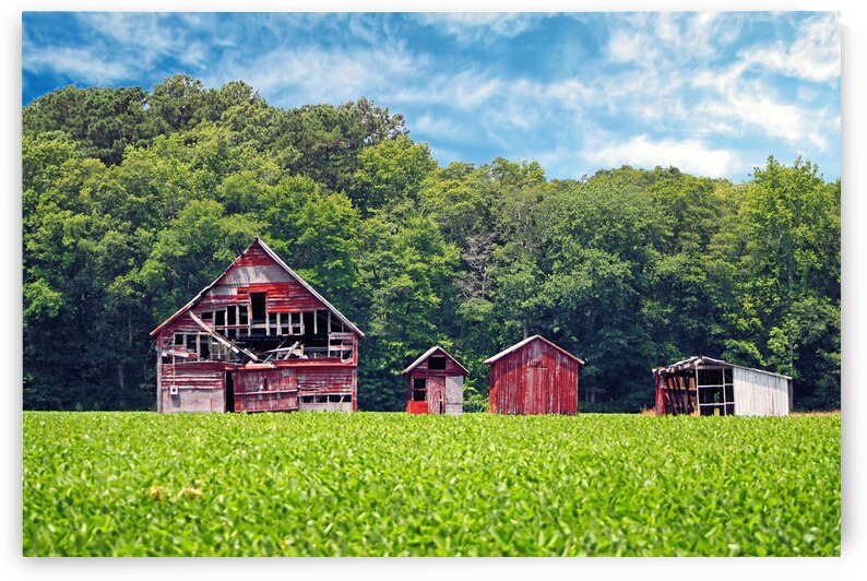 Decaying Barn and Outbuildings on a Delaware Farm by Bill Swartwout Photography
