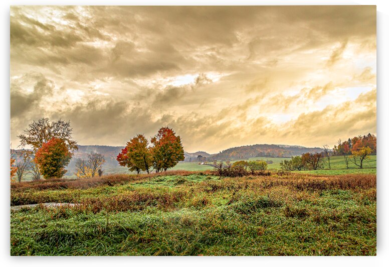 Pluie d automne by Marc Andre Laurin