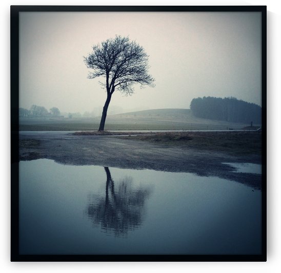 Mirrored by Ulf Bley