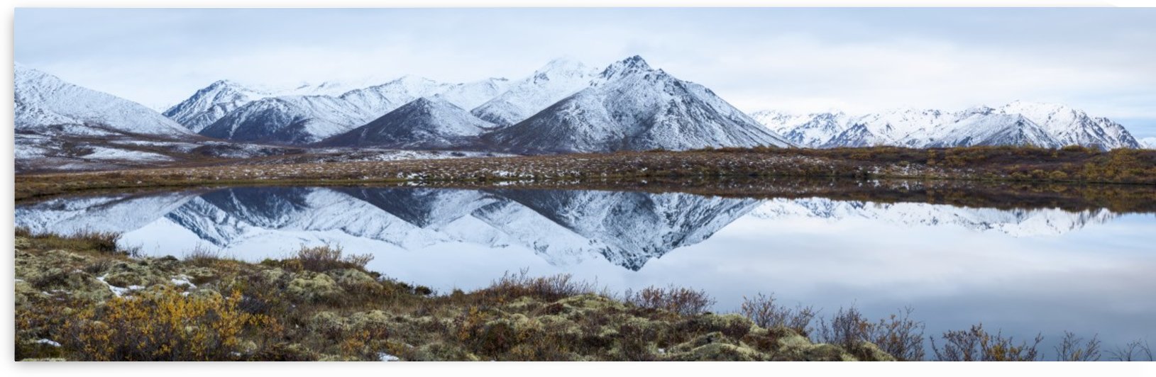 Mount Adney reflected in a pond along the Dempster Highway in the northern Yukon; Yukon, Canada by PacificStock