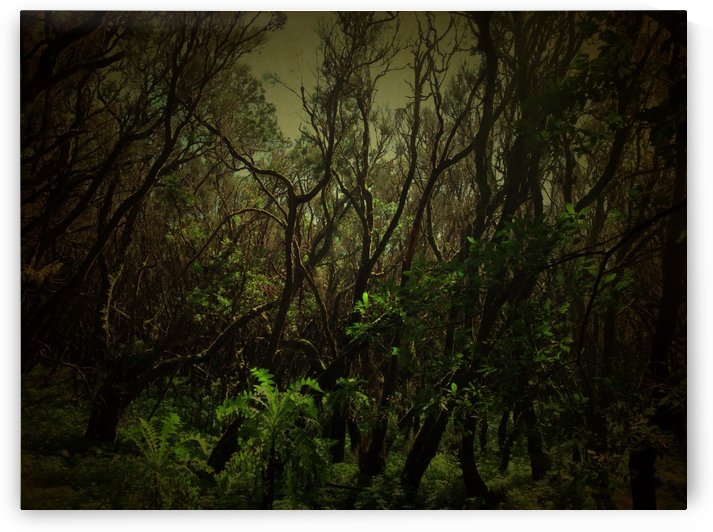 Green Mystery by Ulf Bley