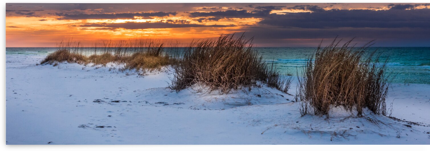 Beachgrass Sunrise by Photography by Allen Jones