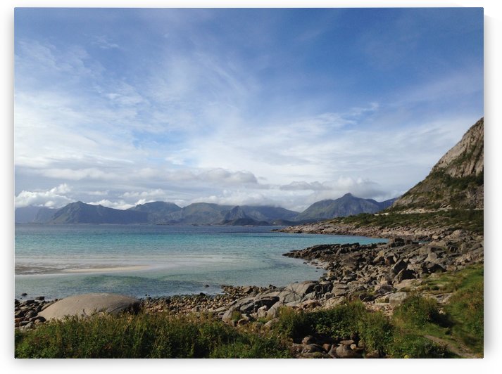 Cold Summer by Ulf Bley