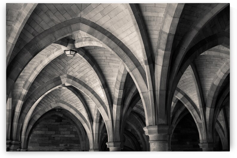 The Cloisters by Dave Bowman