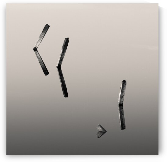 Four Posts by Dave Bowman