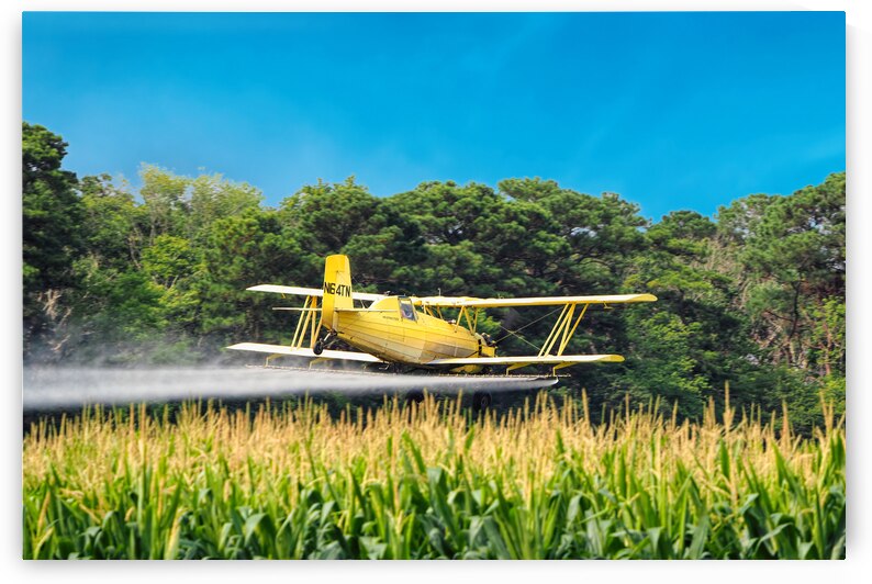 Crop Dusting the Corn by Bill Swartwout Photography