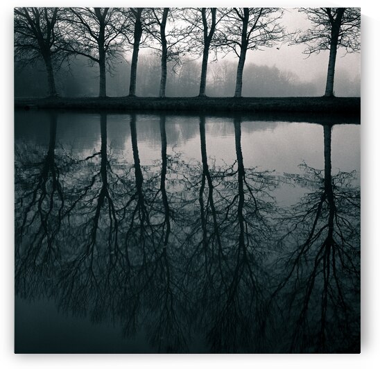 Wilhelminapark by Dave Bowman