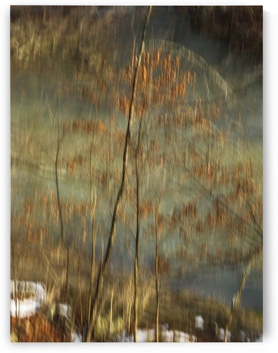 McCormick s Creek by Ben Cvengros