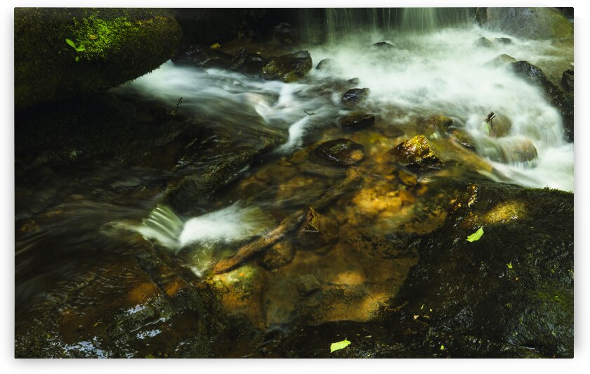 Shenandoah National Park by Ben Cvengros