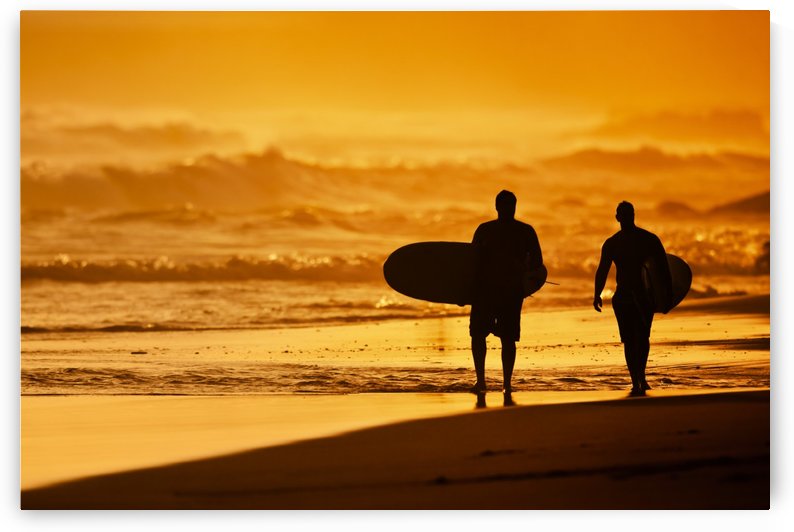 Silhouettes of Surfers on the Beach at Sunset by PacificStock