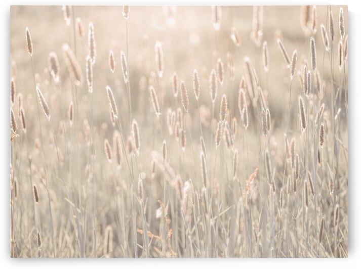 Natures Bliss by Assaf Frank