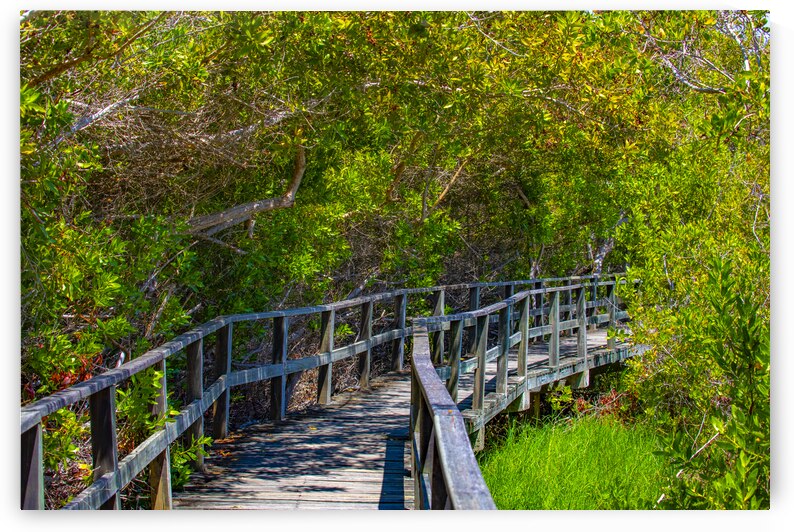 Galapagos Hikes by Cintia Campos