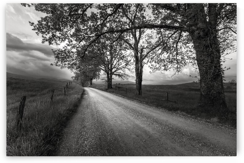 Road Not Traveled II by Images By Jon Evan