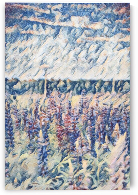 A Field of Bluebonnets by aiddia