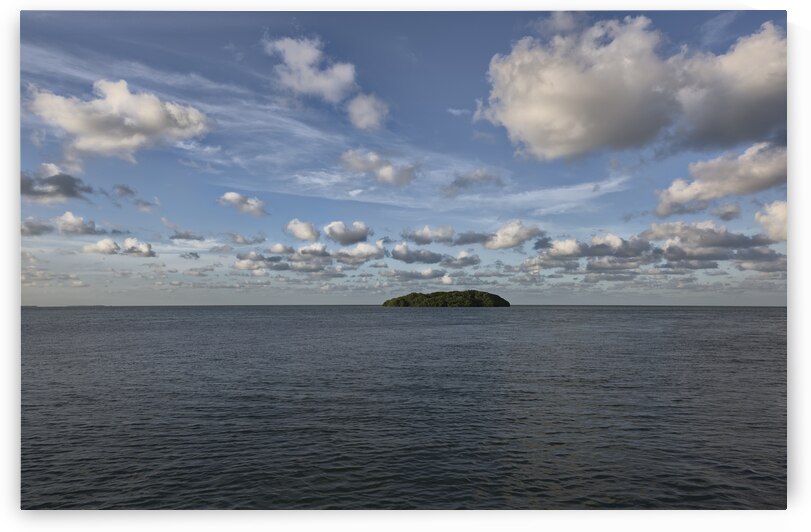 Island Mangrove by Images By Jon Evan